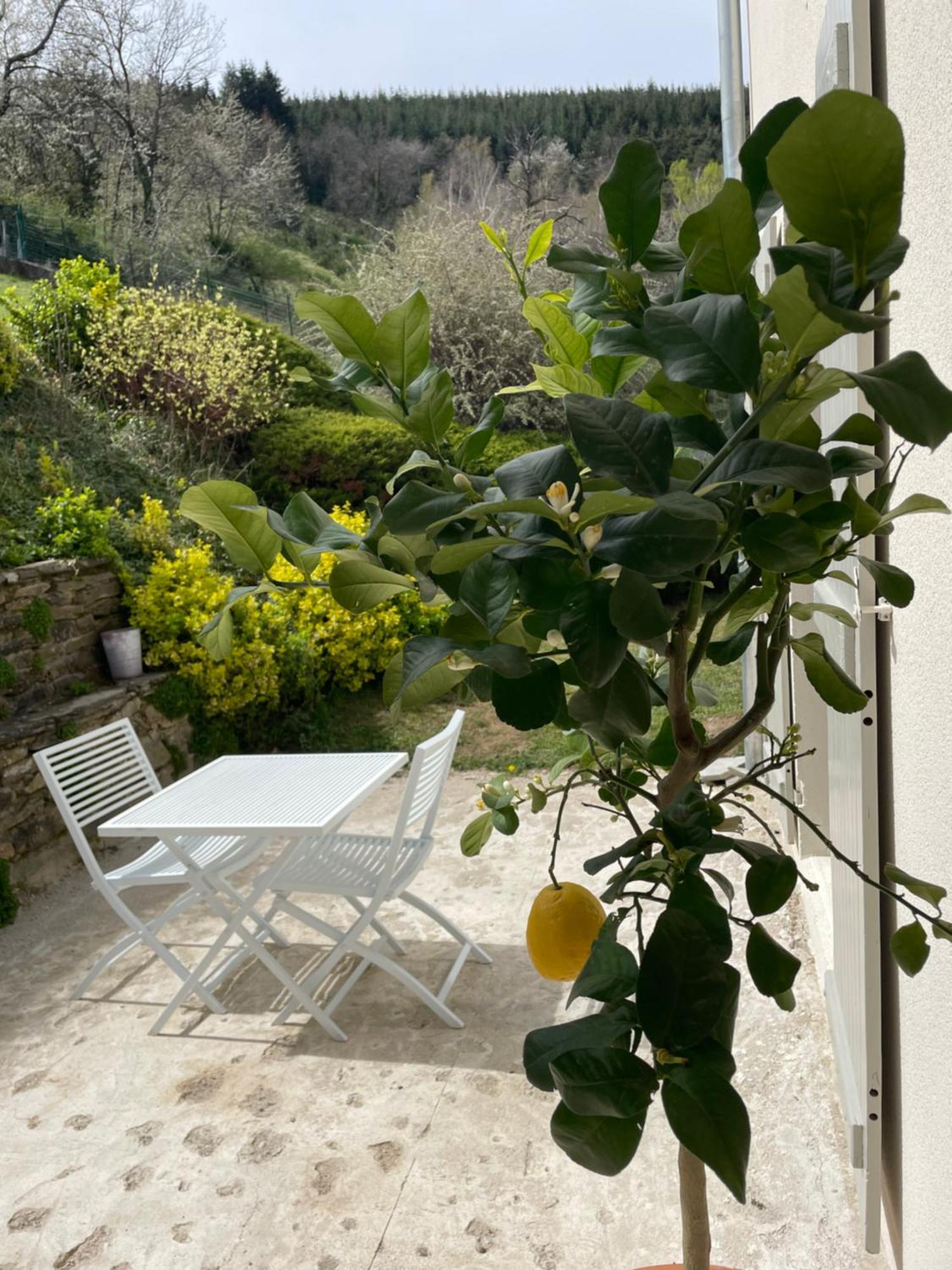 Les Terrasses Du Pilat Apartment La Valla-en-Gier Bagian luar foto